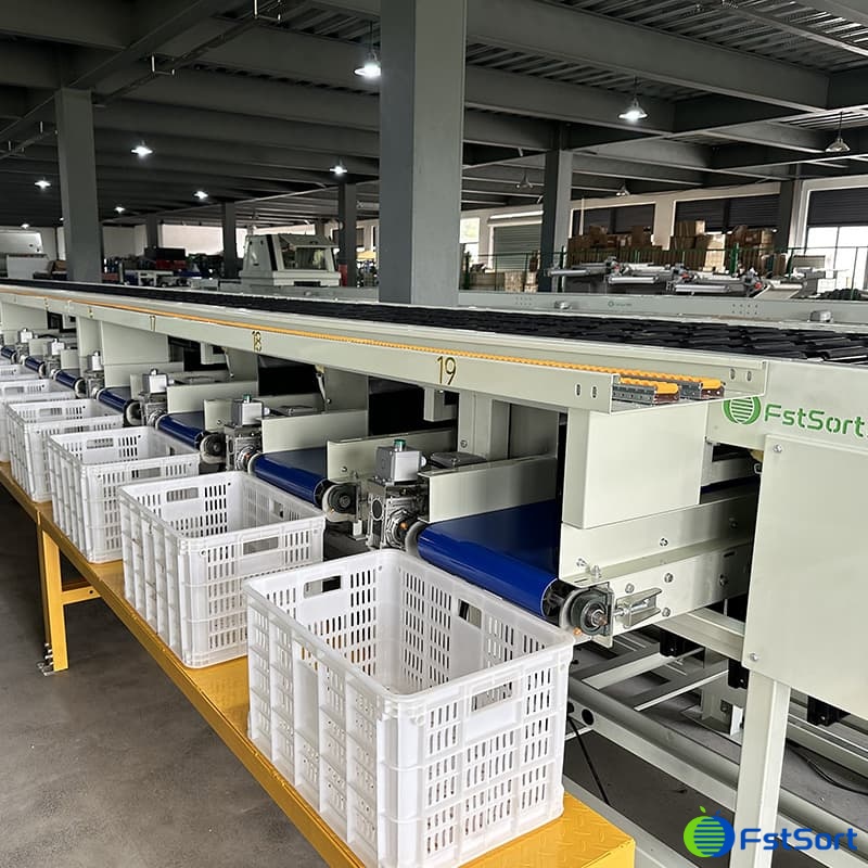 images/1697184010508bell peppers sorting grading machine.jpg